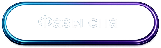 Фазы сна